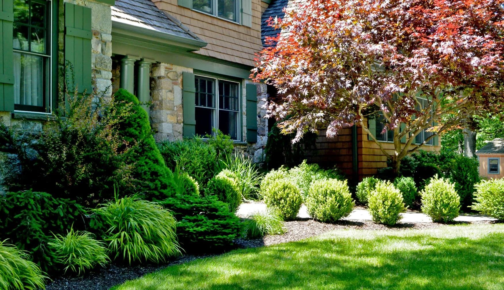 Tree & Shrub Planting Services in Henrico, VA