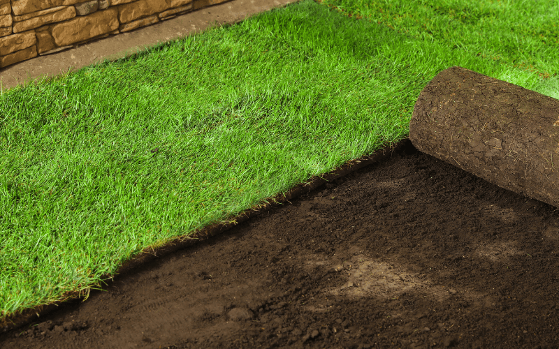 Sod Installation Services in Henrico, VA